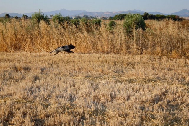 Αγωνες Α.Κ.Ι 18/6/2017